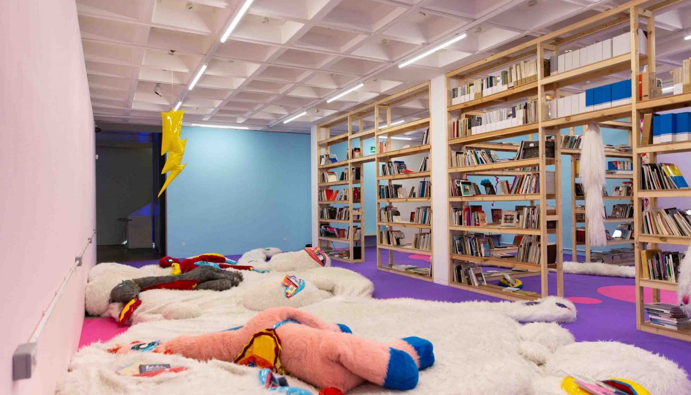 Fluffy Library @ ARNOLFINI 2019
